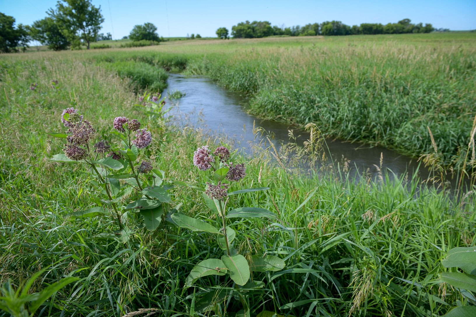 2019-water-quality-summary-part-1